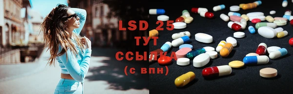 сатива Ступино