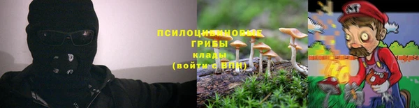 молекула духа Баксан