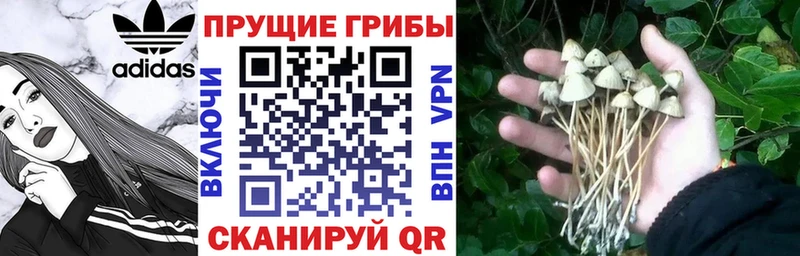 OMG маркетплейс  это Telegram  Псилоцибиновые грибы мухоморы  Демидов 