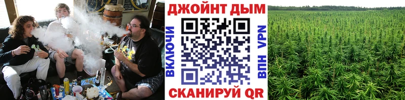 Марихуана план  Демидов 